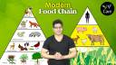 मॉडर्न फूड चैन। Modern Food Chain 